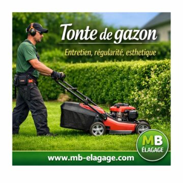 tonte_de_gazon_mb_elagage_gironde